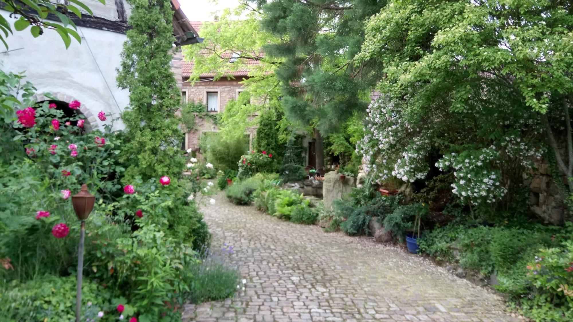 "El Patio" Am Donnersberg Apartamento Dannenfels Exterior foto