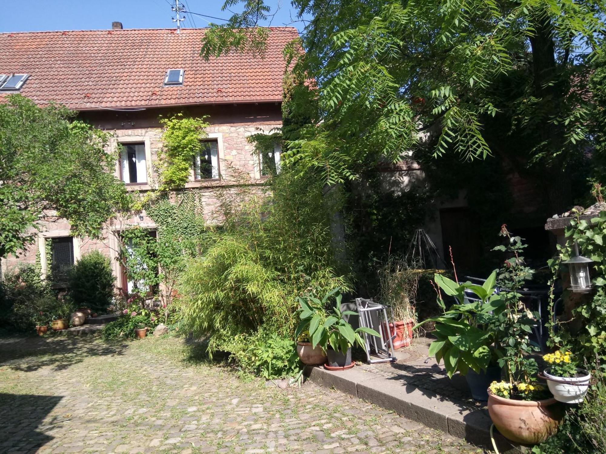 "El Patio" Am Donnersberg Apartamento Dannenfels Exterior foto