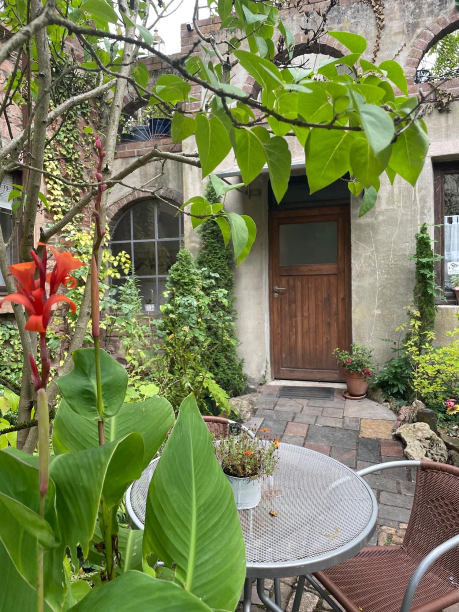 "El Patio" Am Donnersberg Apartamento Dannenfels Exterior foto